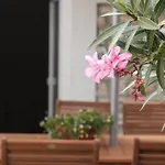Apartment Ivan