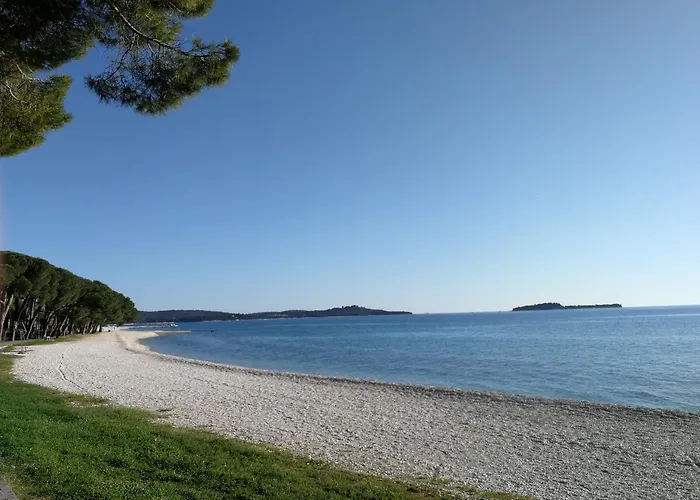 Διαμέρισμα Ivan *